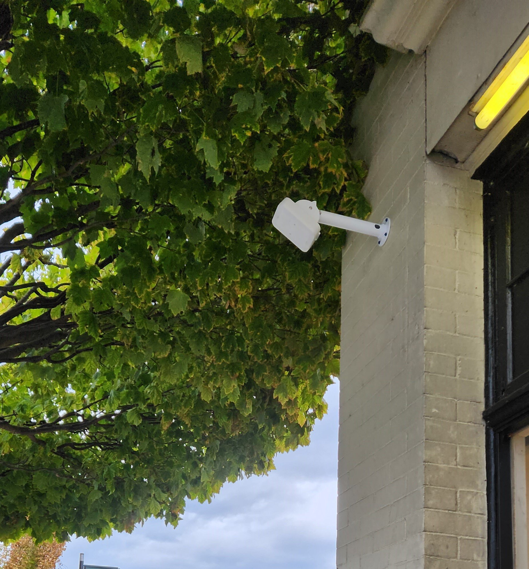 sensor-tree-1
